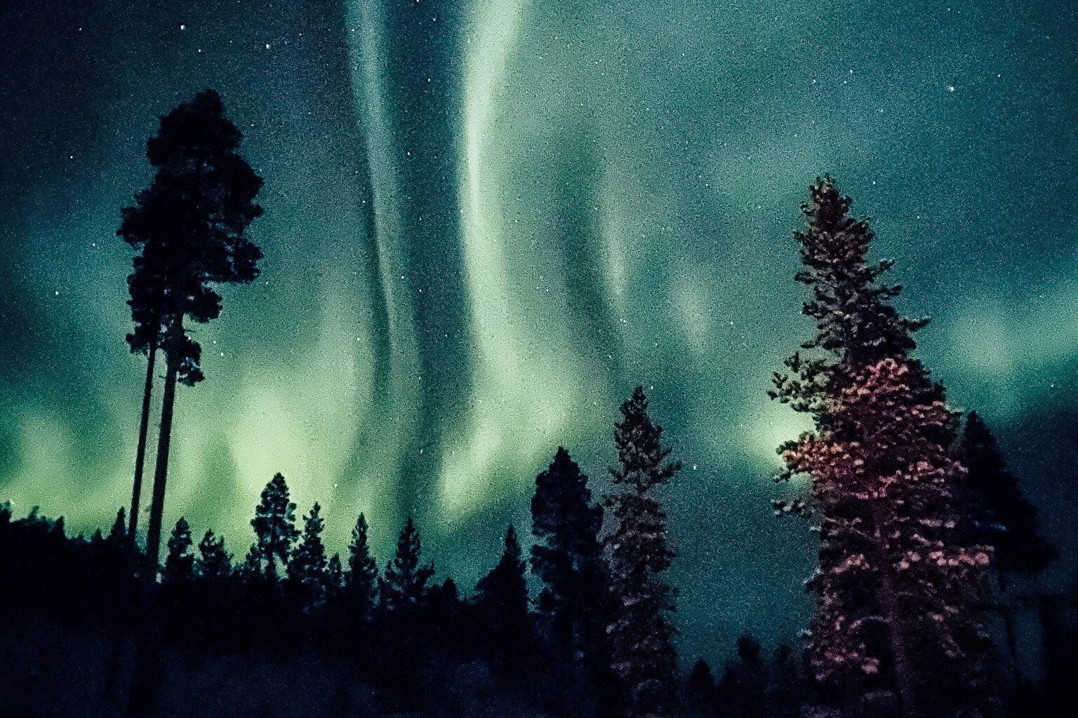 Northern Lights